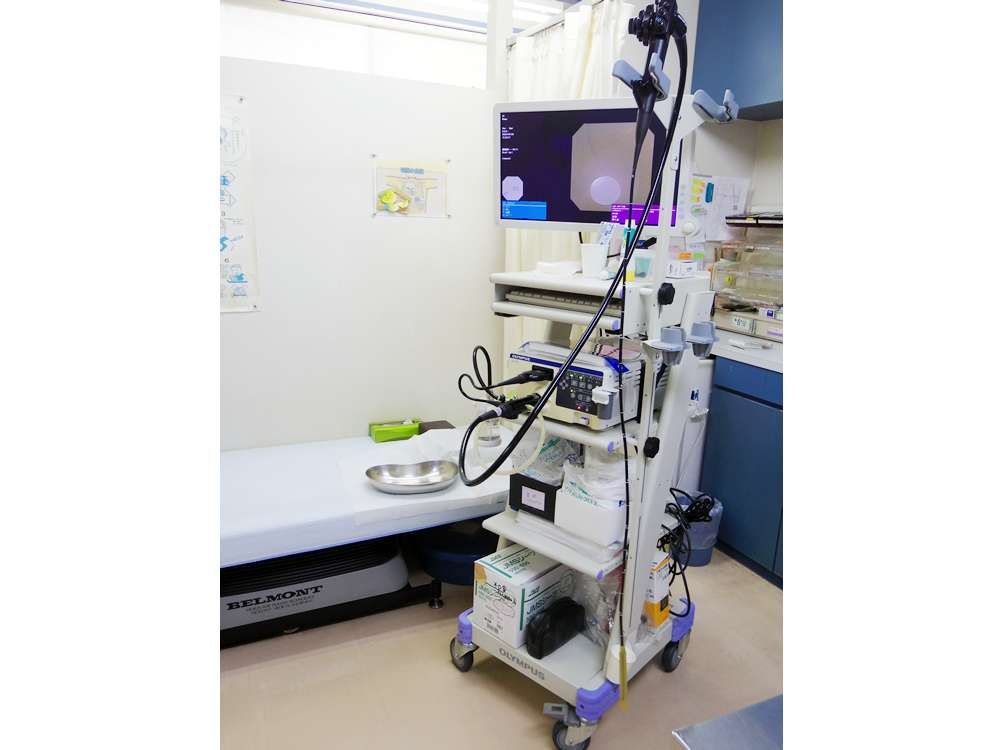 上部消化管内視鏡（胃カメラ）